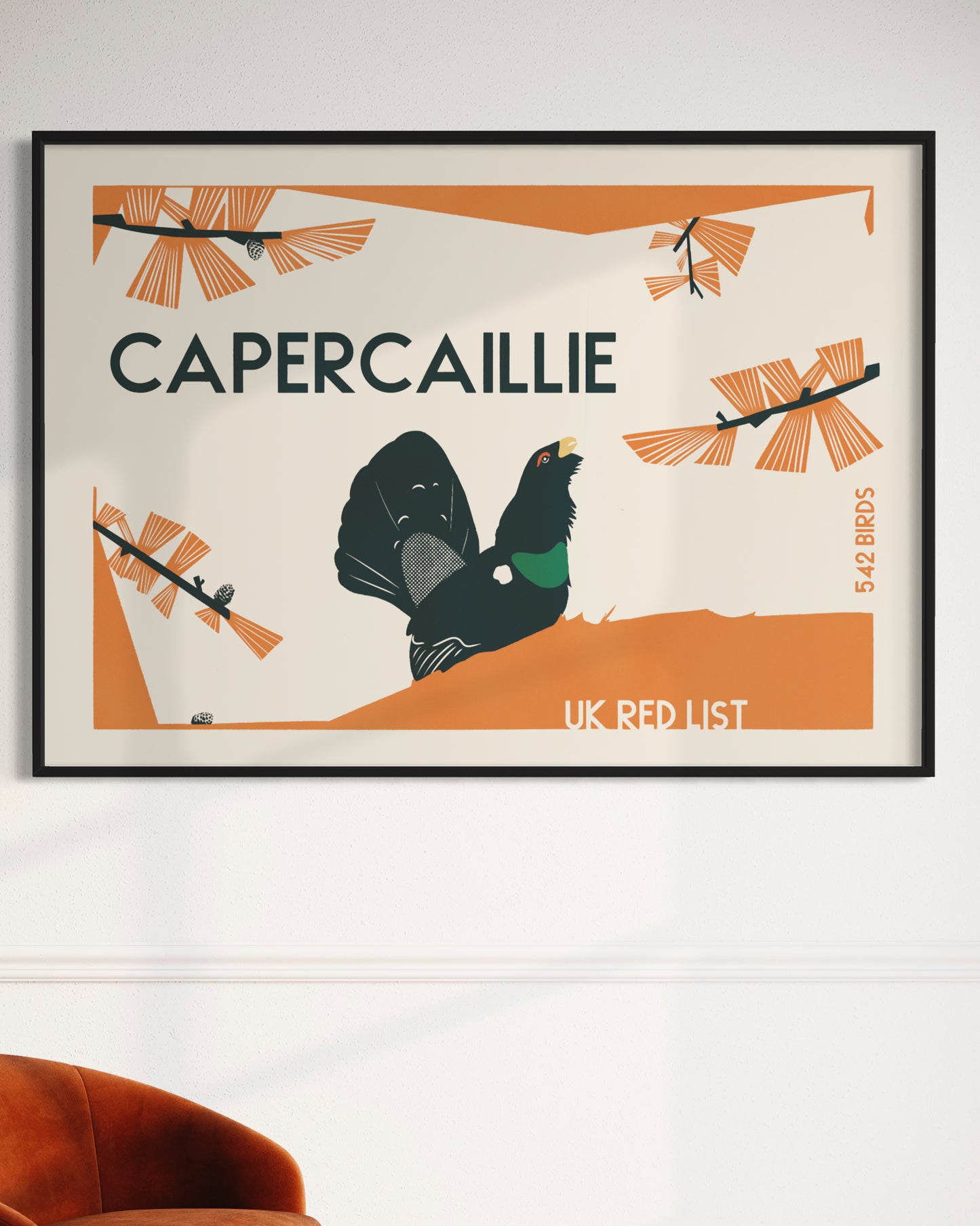British Birds art prints. Capercaillie Scottish Highlands art